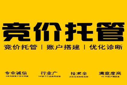 搜索引擎营销（SEM）在电商行业的投放策略案例